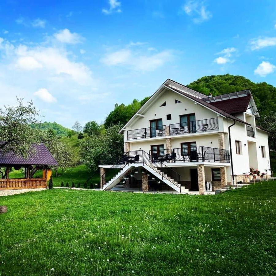 Pensiunea Hai In Maramures Bîrsana Exterior foto